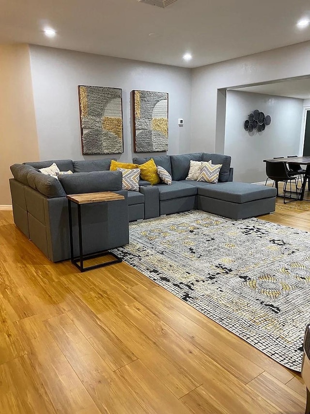 living room featuring wood-type flooring