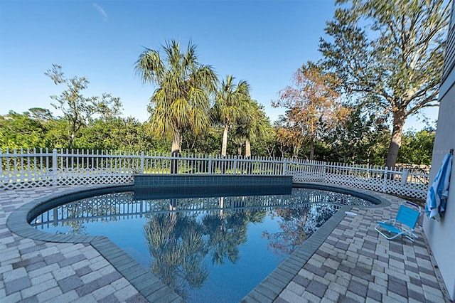 view of swimming pool with a patio area