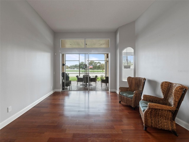 living area with dark hardwood / wood-style floors