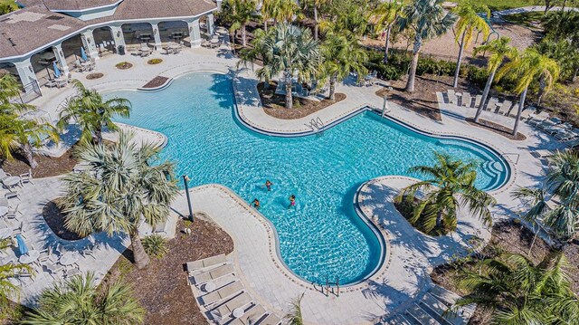 view of swimming pool