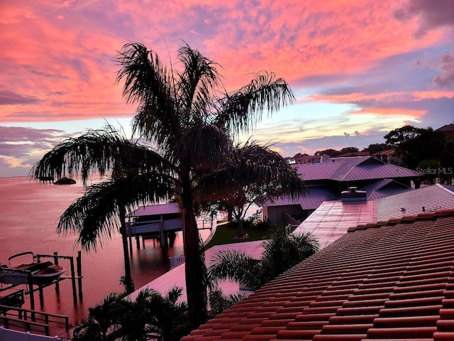 water view featuring a boat dock