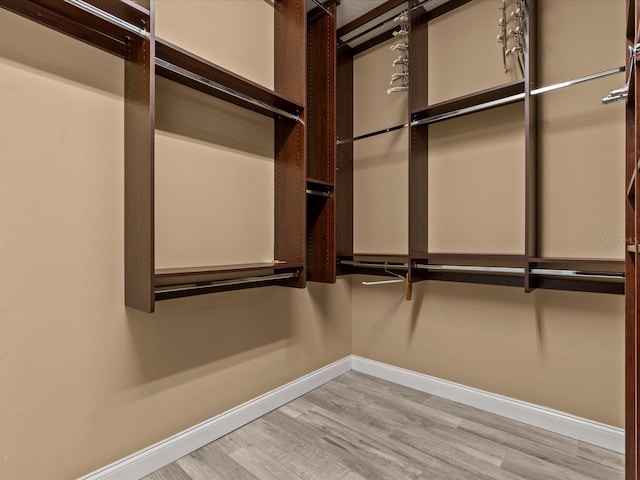 walk in closet with light wood-type flooring