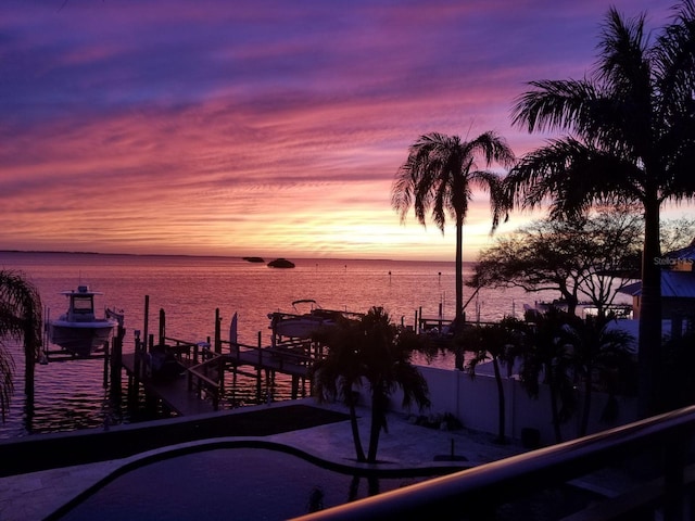 water view featuring a boat dock