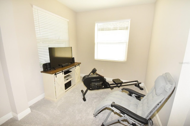 workout room featuring carpet floors