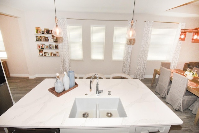 bathroom featuring wood-type flooring and sink