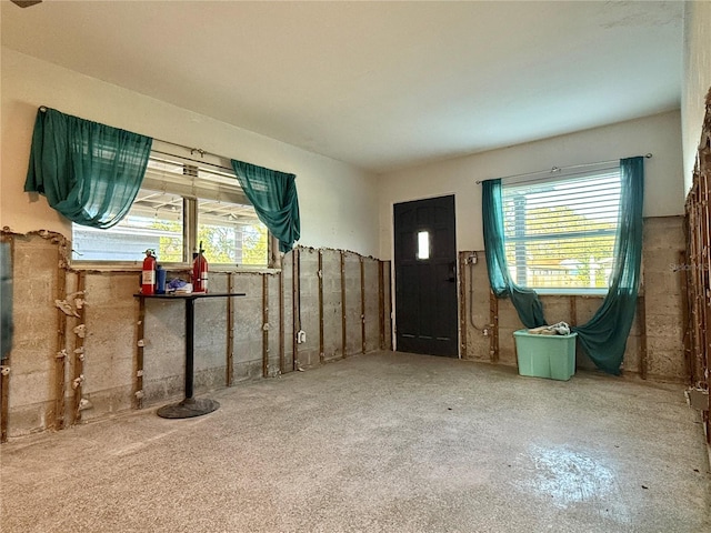 5018 Chancellor St NE, Saint Petersburg, FL 33703 - photo 6