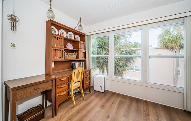 office space featuring hardwood / wood-style floors