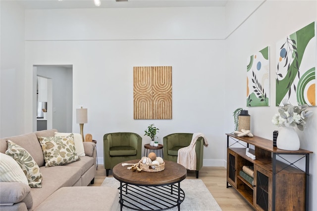 living room with light hardwood / wood-style flooring