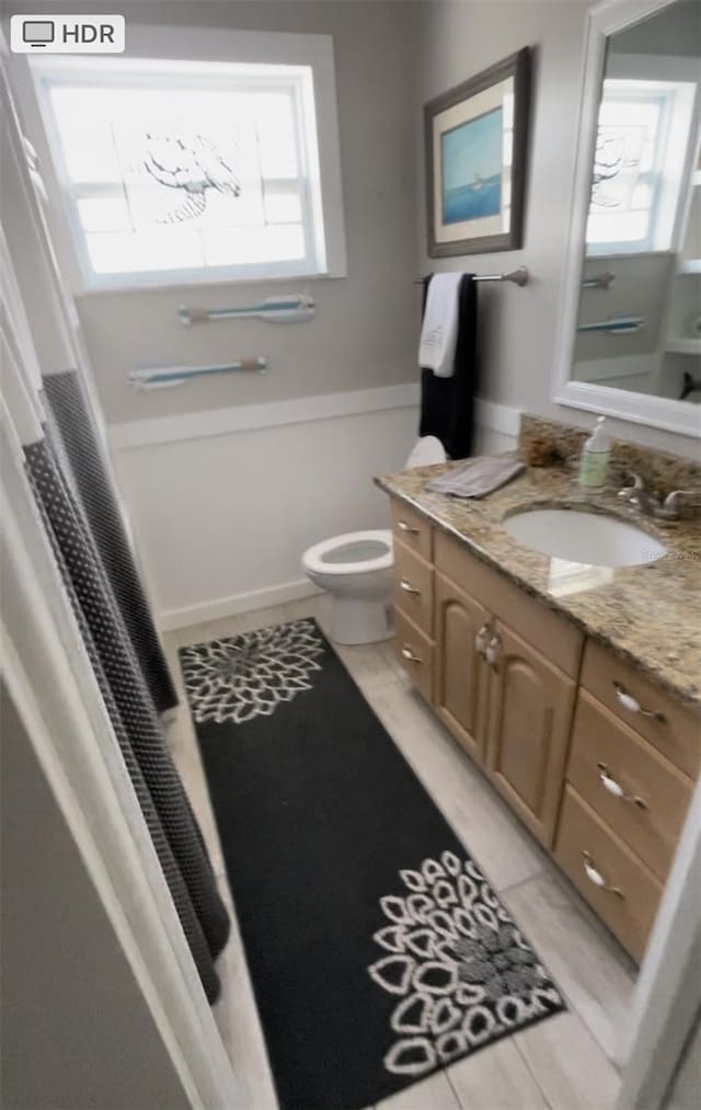 bathroom featuring vanity, toilet, and a wealth of natural light