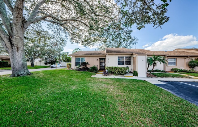 ranch-style home featuring a front yard