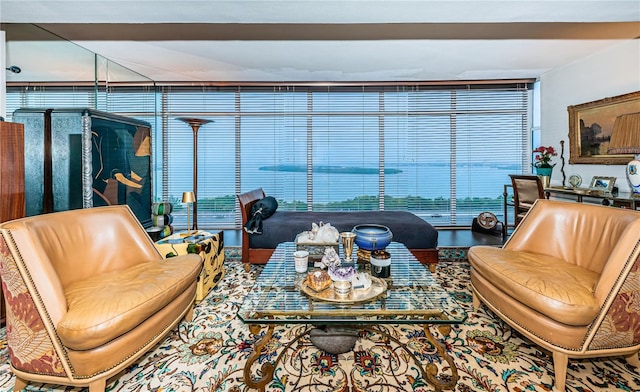 living room featuring expansive windows