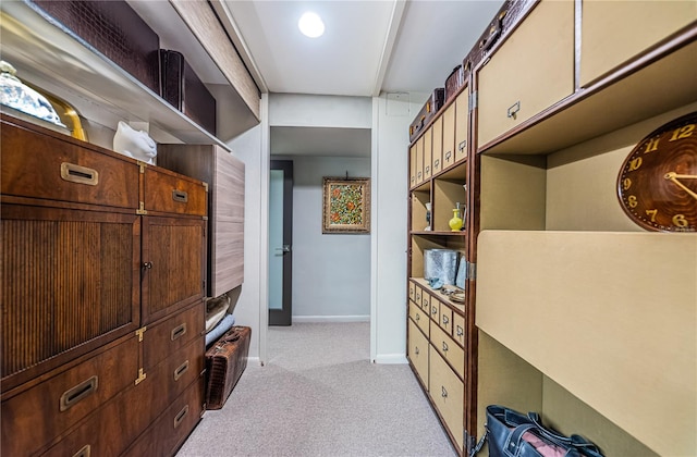 spacious closet featuring light colored carpet