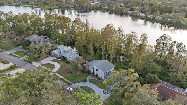 223 S Riverhills Dr, Temple Terrace, FL 33617 - photo 4