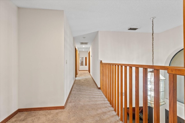 223 S Riverhills Dr, Temple Terrace, FL 33617 - photo 19
