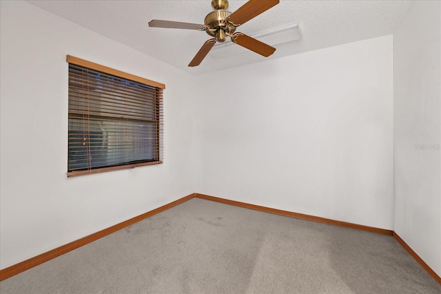 223 S Riverhills Dr, Temple Terrace, FL 33617 - photo 24
