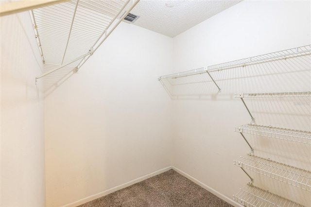 spacious closet with carpet