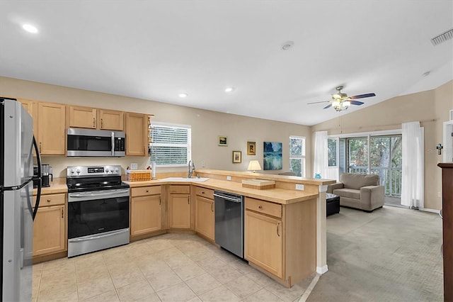 kitchen featuring a wealth of natural light, light carpet, appliances with stainless steel finishes, and vaulted ceiling