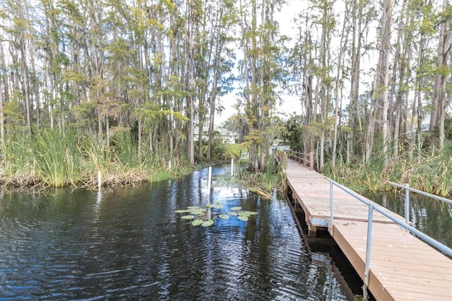 dock area with a water view