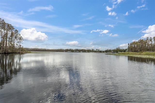 property view of water