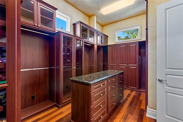 spacious closet featuring dark hardwood / wood-style floors