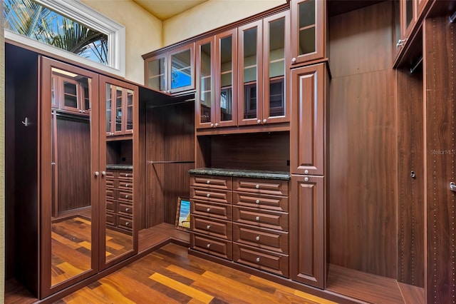 101 12th St E, Tierra Verde, FL 33715 - spacious closet with dark wood-style floors