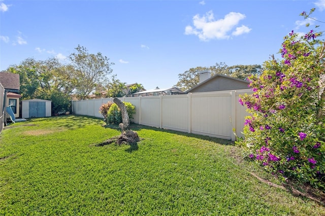 view of yard with a storage shed