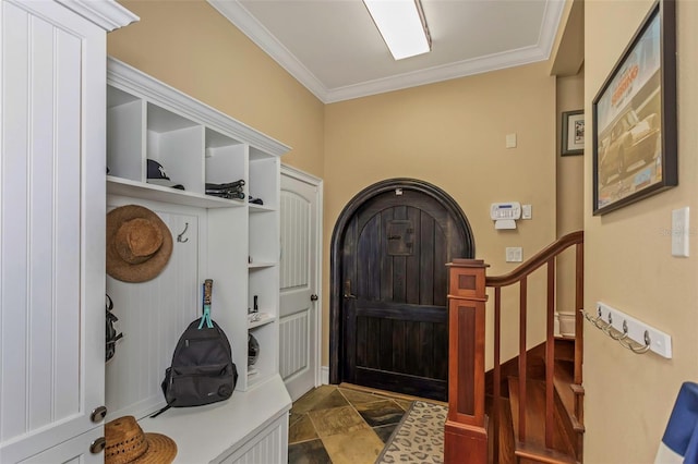 mudroom featuring dark hardwood / wood-style floors and crown molding