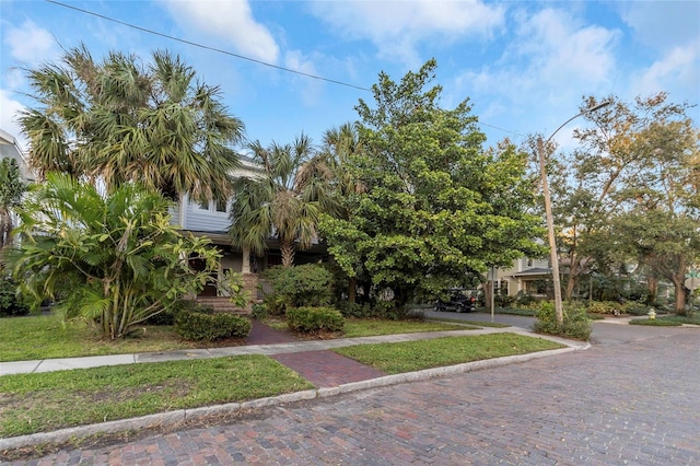 obstructed view of property with a front lawn