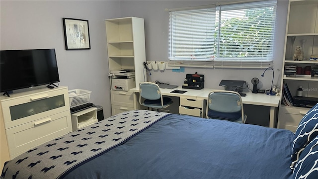 1243 S Martin Luther King Jr Ave Unit B205, Clearwater, FL 33756 - view of bedroom