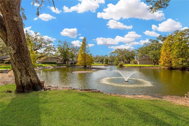 view of water feature