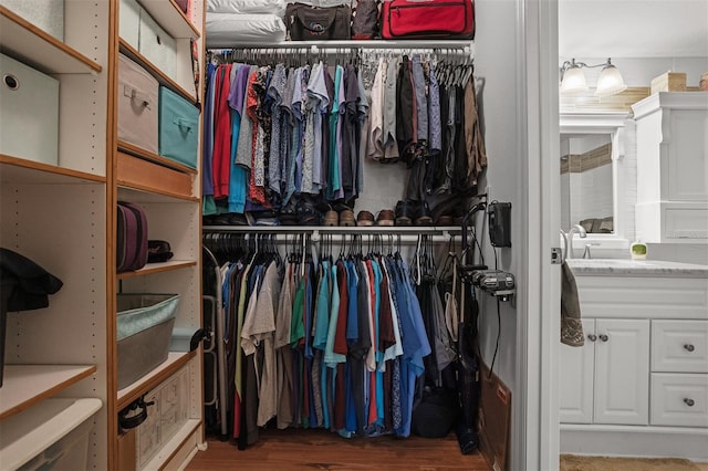 spacious closet with hardwood / wood-style floors