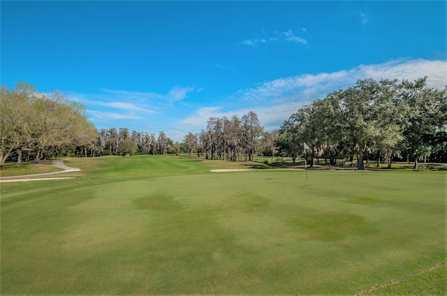 view of home's community featuring a lawn