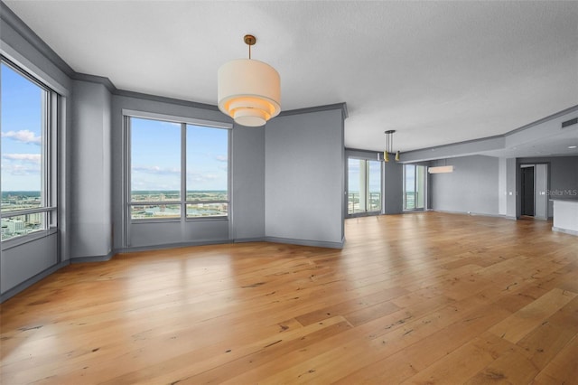 interior space featuring a wealth of natural light and light hardwood / wood-style flooring