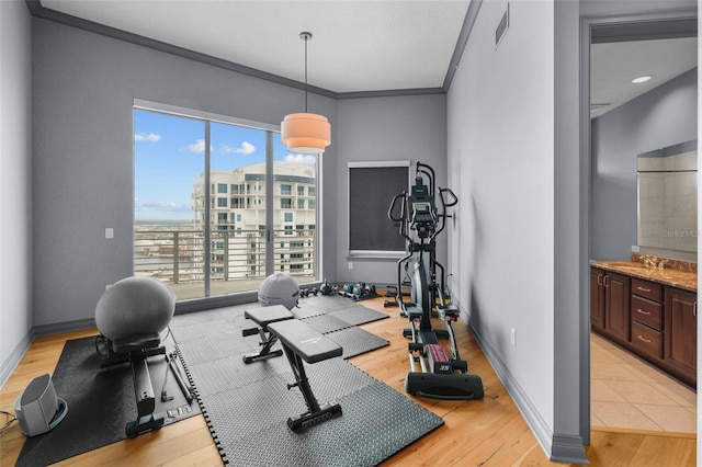 exercise area featuring light hardwood / wood-style floors, sink, and ornamental molding