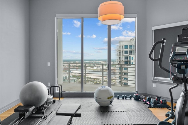 workout room featuring wood-type flooring and a healthy amount of sunlight