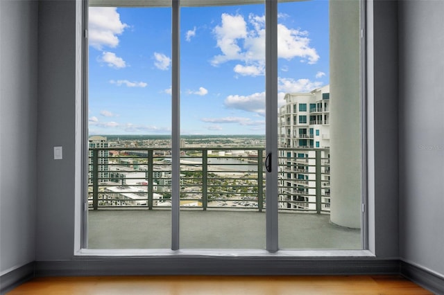 interior space featuring hardwood / wood-style floors and a wealth of natural light