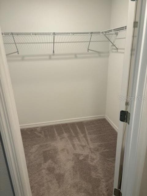 walk in closet with dark colored carpet