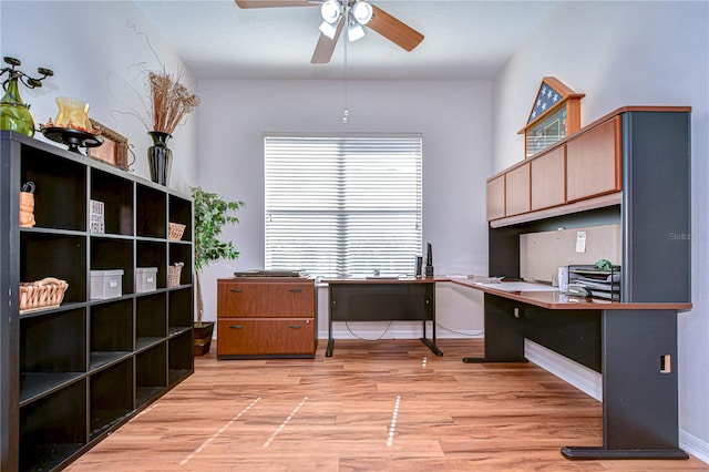 office featuring ceiling fan and light hardwood / wood-style flooring