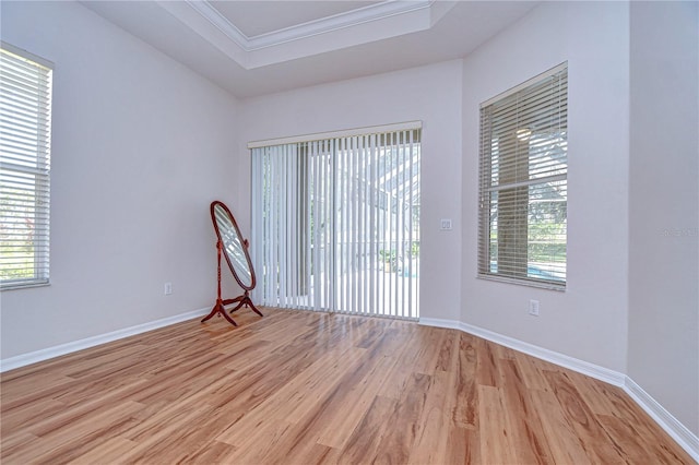 spare room featuring light wood-type flooring, a tray ceiling, and crown molding