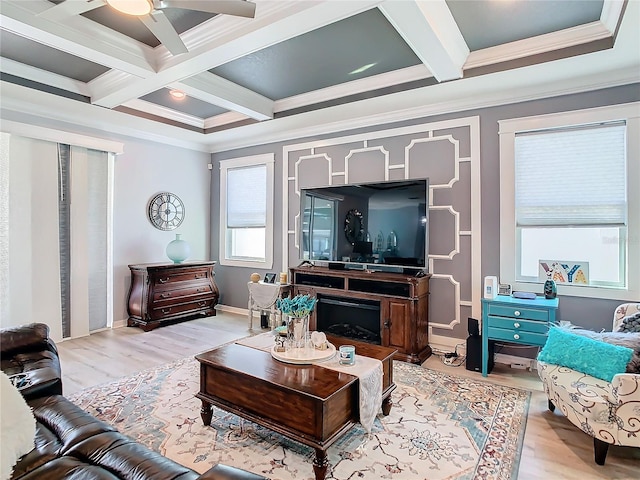 living room with ornamental molding, coffered ceiling, ceiling fan, beam ceiling, and light hardwood / wood-style floors