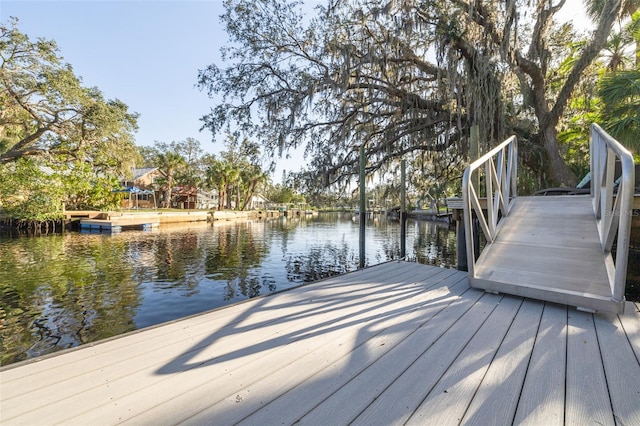 dock area with a water view