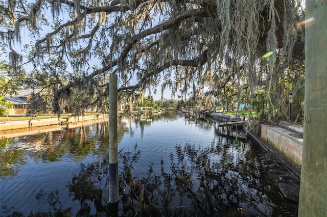 dock area with a water view