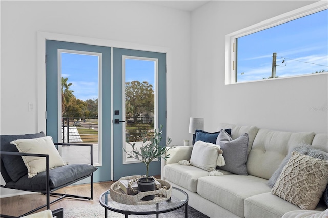 living area featuring french doors, wood finished floors, and a healthy amount of sunlight