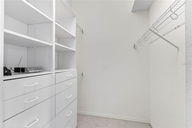 spacious closet with light colored carpet