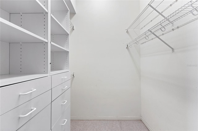 walk in closet with light colored carpet