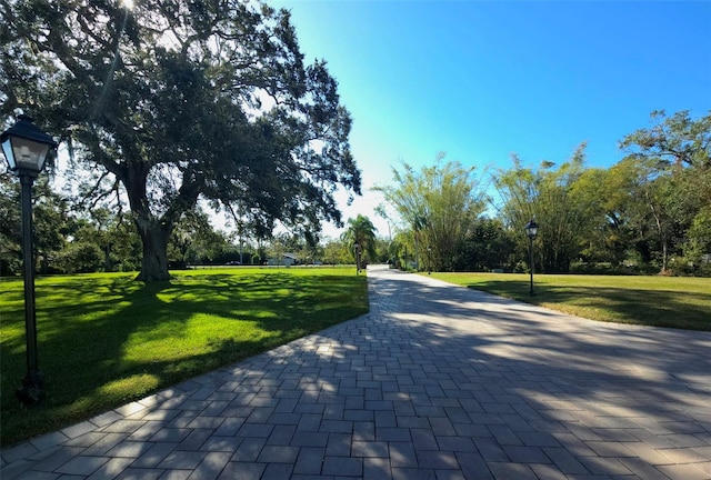 view of home's community with a lawn