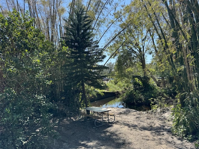 view of yard with a water view