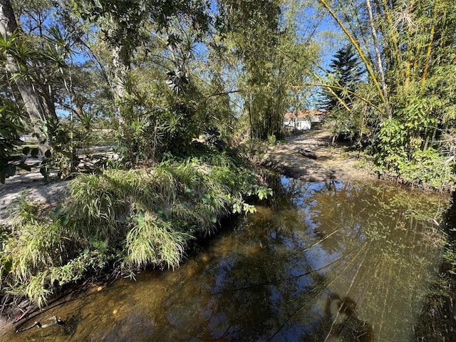 view of local wilderness with a water view