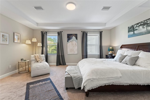 carpeted bedroom featuring a tray ceiling