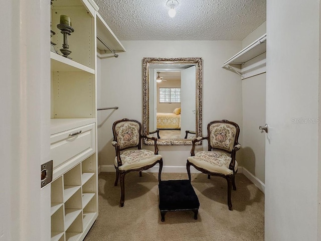 living area featuring a textured ceiling and carpet flooring